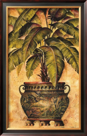 Potted Palm I by Steve Butler Pricing Limited Edition Print image