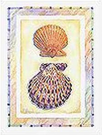 Bordered Shell-Scallops by Paul Brent Pricing Limited Edition Print image