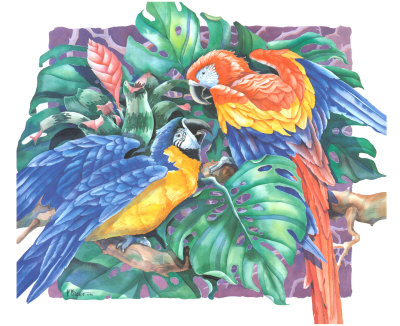 Tropical Garden Macaws I Red & Blue by Paul Brent Pricing Limited Edition Print image