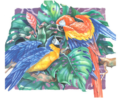 Tropical Garden Macaws I Red & Blue by Paul Brent Pricing Limited Edition Print image