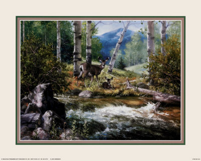 Rocky Mountain Deer by Jack Sorenson Pricing Limited Edition Print image
