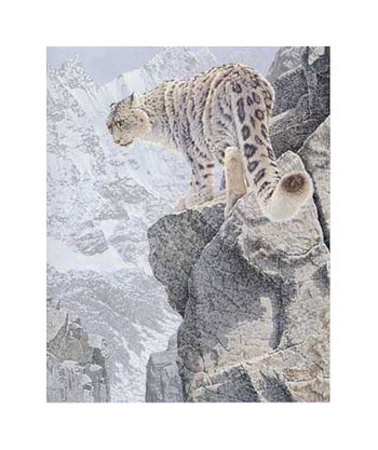 Snow Leopard, On The Edge by Richard Stanley Pricing Limited Edition Print image