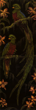 Quetzal Ii by Debra Swartzendruber Pricing Limited Edition Print image