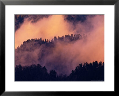 Sunset Fog In Valley, Morton Overlook, Great Smoky Mountains National Park, Tennessee, Usa by Adam Jones Pricing Limited Edition Print image
