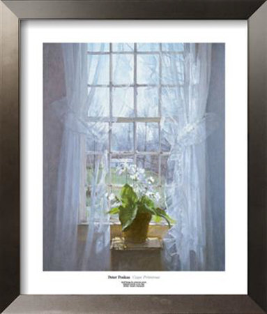 Cape Primrose by Peter Poskas Pricing Limited Edition Print image