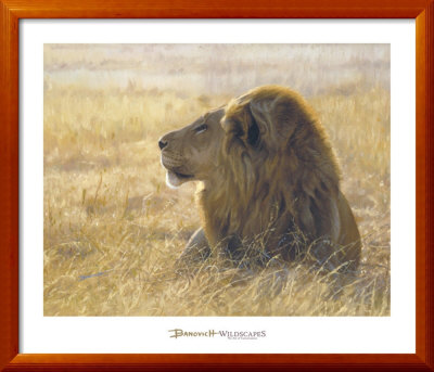 Danger On The Wind by John Banovich Pricing Limited Edition Print image