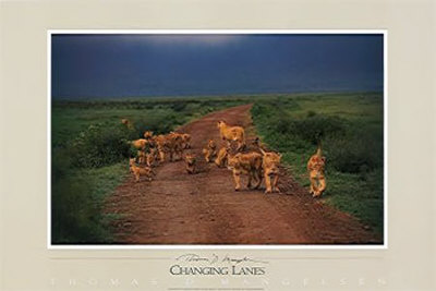 Changing Lanes by Thomas Mangelsen Pricing Limited Edition Print image
