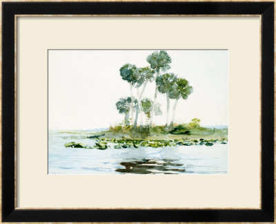 St. Johns River, Florida, 1890 by Winslow Homer Pricing Limited Edition Print image
