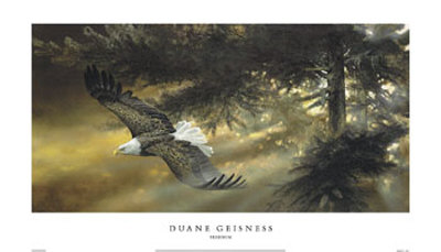 Freedom by Duane Geisness Pricing Limited Edition Print image