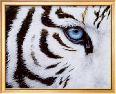 Blue Eyes by Lucie Bilodeau Pricing Limited Edition Print image
