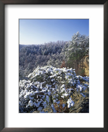 Sky Bridge Arch, Red River Gorge Geological Area, Daniel Boone National Forest, Kentucky, Usa by Adam Jones Pricing Limited Edition Print image