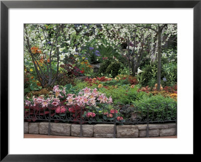 Indoor Garden, Krohn Conservatory, Cincinatti, Ohio, Usa by Adam Jones Pricing Limited Edition Print image