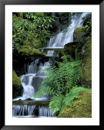 Japanese Garden, Portland, Oregon, Usa by Adam Jones Pricing Limited Edition Print image