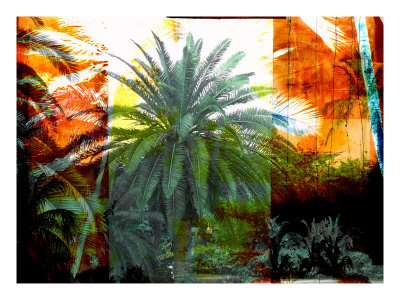 Tropical Palms Viii by Miguel Paredes Pricing Limited Edition Print image