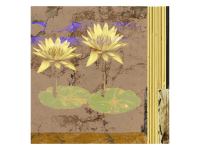 Fresco Lotus Iv by Miguel Paredes Pricing Limited Edition Print image