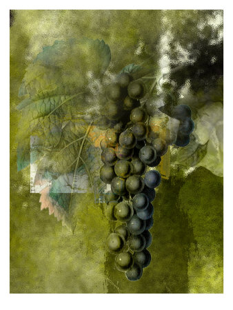 Grape I by Miguel Paredes Pricing Limited Edition Print image