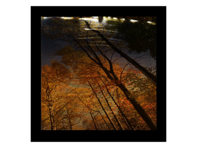 Mystic River Ii by Miguel Paredes Pricing Limited Edition Print image