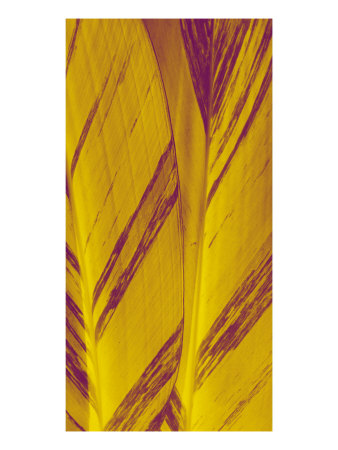 Abstract Leaves Xxxix by Miguel Paredes Pricing Limited Edition Print image