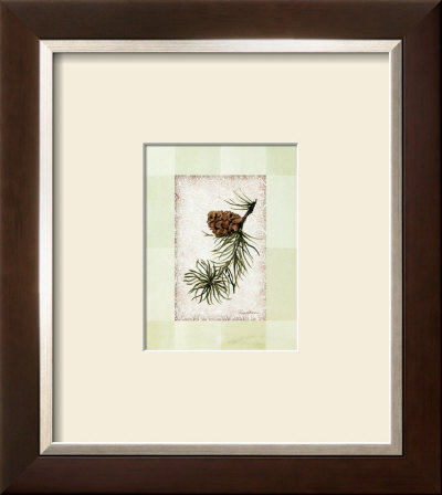 Adirondack Pine I by Peggy Abrams Pricing Limited Edition Print image