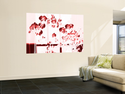 Red Orchids by Miguel Paredes Pricing Limited Edition Print image