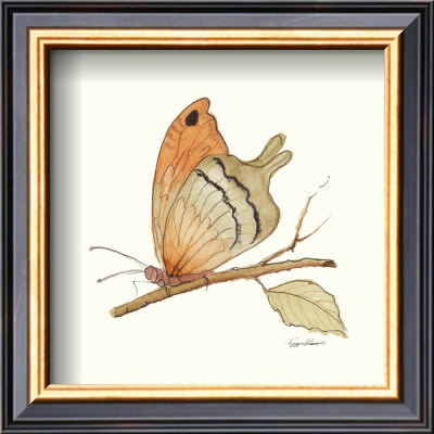 Butterfly In Orange by Peggy Abrams Pricing Limited Edition Print image