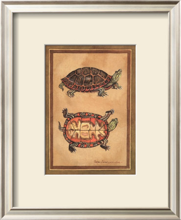 Box Turtle I by Debra Swartzendruber Pricing Limited Edition Print image