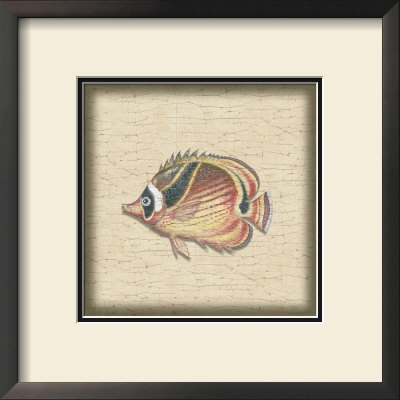 Tropical Fish Iv by Debra Swartzendruber Pricing Limited Edition Print image