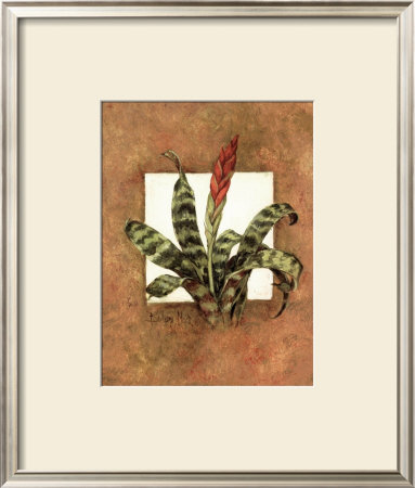 Framed Tropicals I by Barbara Mock Pricing Limited Edition Print image