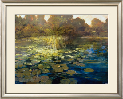 Waterlilies by Philip Craig Pricing Limited Edition Print image
