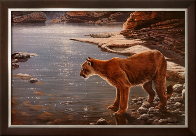 Canyon Creek- Cougar (Detail) by John Seerey-Lester Pricing Limited Edition Print image