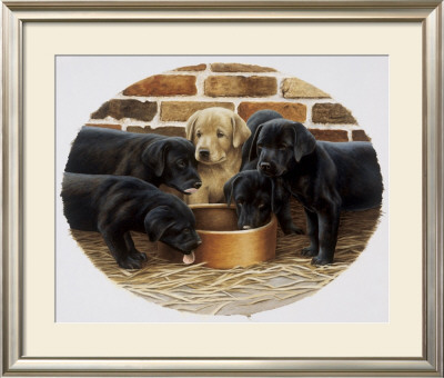 Golden Girl by Nigel Hemming Pricing Limited Edition Print image