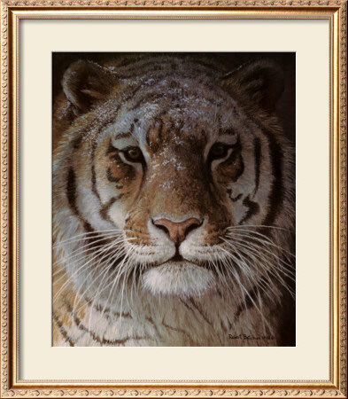 Tiger Portrait by Robert Bateman Pricing Limited Edition Print image
