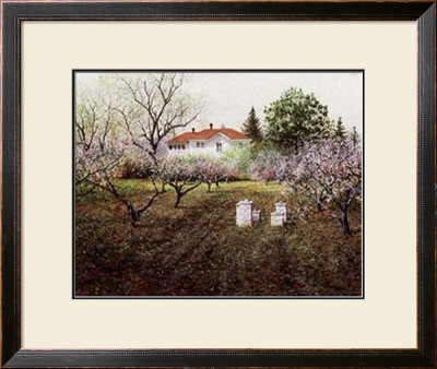 Honey Bees by Ned Young Pricing Limited Edition Print image
