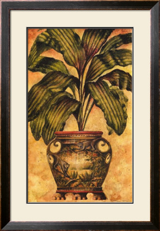 Potted Palm Ii by Steve Butler Pricing Limited Edition Print image