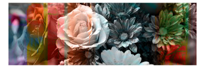 Floral Panel Vi by Miguel Paredes Pricing Limited Edition Print image