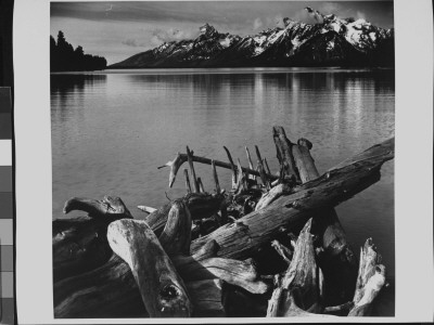 Landscape With Snow Covered Mountains, Lake And Driftwood, At Grand Canyon National Park by Ansel Adams Pricing Limited Edition Print image