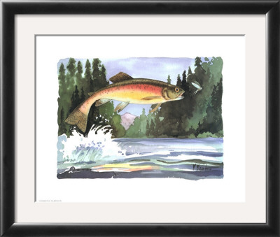 Rainbow Trout by Paul Brent Pricing Limited Edition Print image