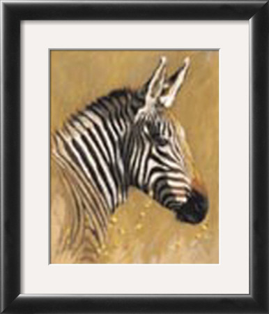Zebra by Kim Donaldson Pricing Limited Edition Print image
