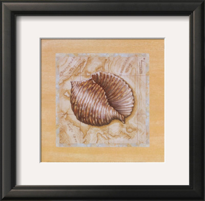 Sea Treasures I by Janet Kruskamp Pricing Limited Edition Print image