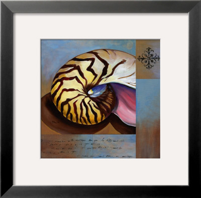 Sanibel Nautilus by Paul Brent Pricing Limited Edition Print image
