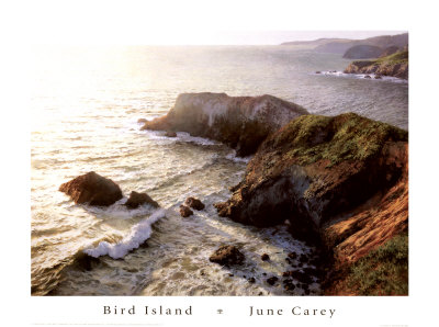 Bird Island by June Carey Pricing Limited Edition Print image