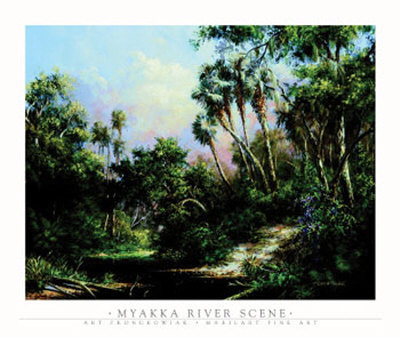 Myakka River Scene by Art Fronckowiak Pricing Limited Edition Print image