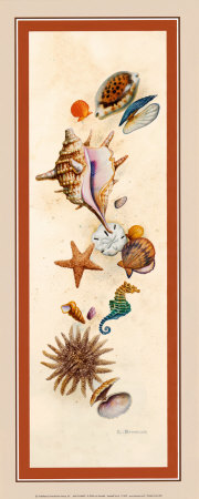 Seashell Island by Lisa Danielle Pricing Limited Edition Print image