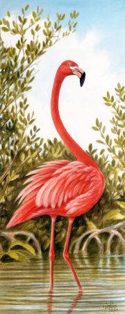 Flamingo Ii by Ron Jenkins Pricing Limited Edition Print image
