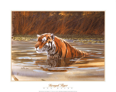 Bengal Tiger by Don Balke Pricing Limited Edition Print image