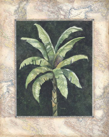 Banana Palm I by David Nichols Pricing Limited Edition Print image