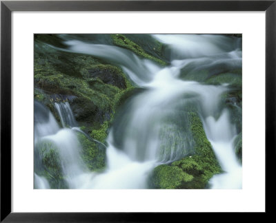 Stream And Moss-Covered Rocks, Little River, Great Smoky Mountains National Park, Tennessee, Usa by Adam Jones Pricing Limited Edition Print image
