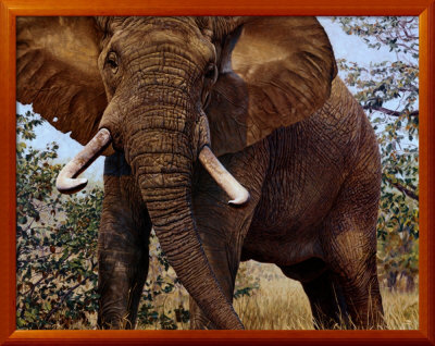 Jumbo by John Banovich Pricing Limited Edition Print image