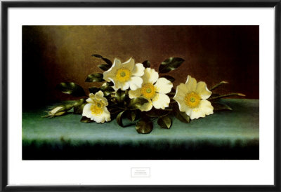 Four Cherokee Roses by Martin Johnson Heade Pricing Limited Edition Print image