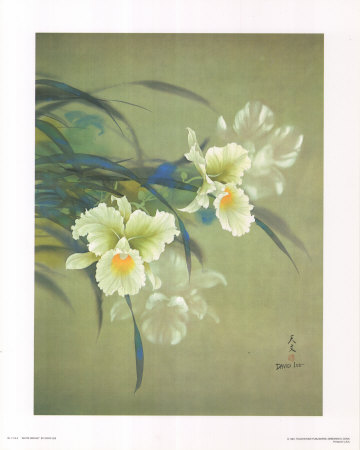 White Orchid by David Lee Pricing Limited Edition Print image